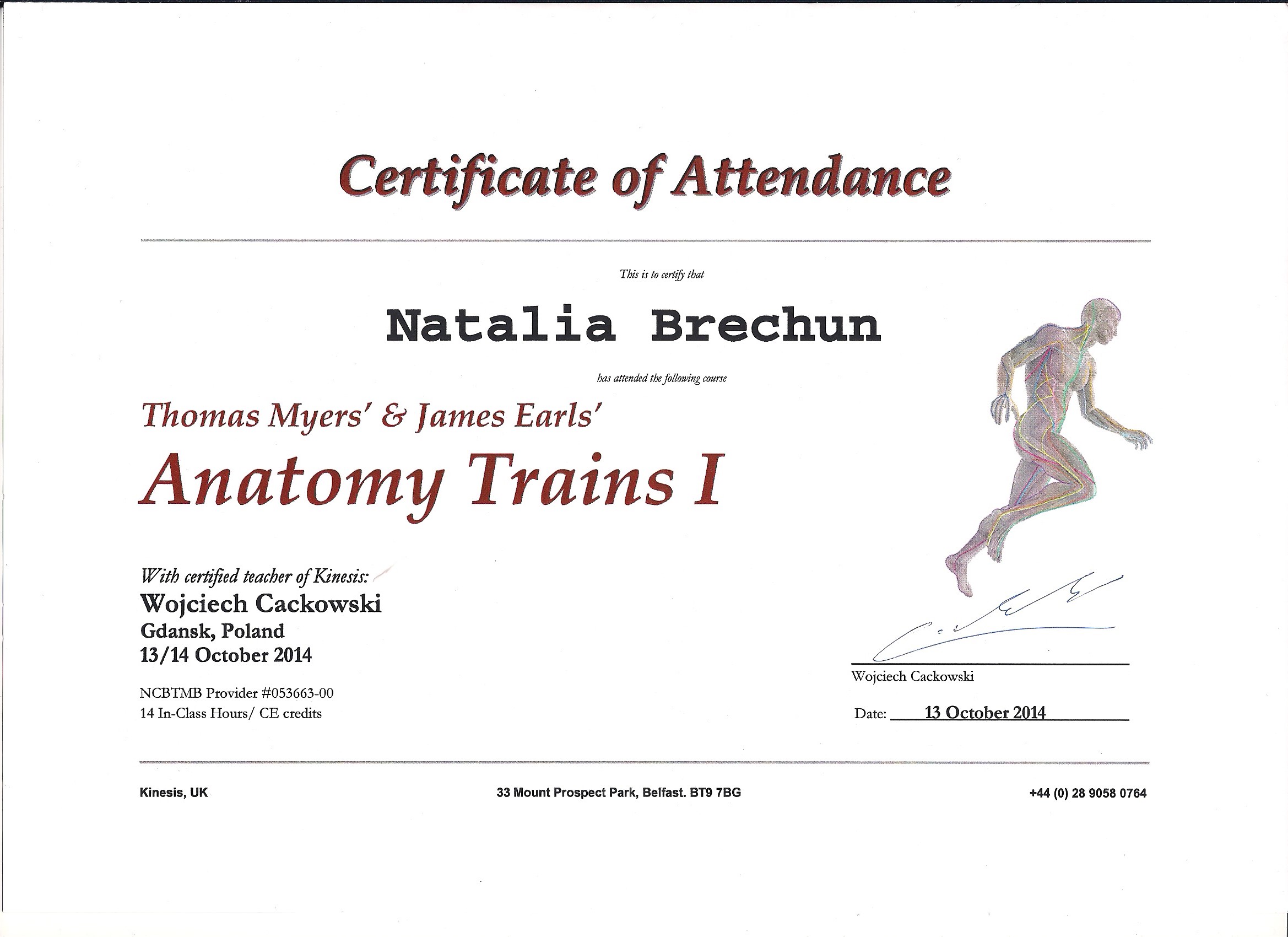 Thomas Myers' & James Earls' Anatomy Trains I